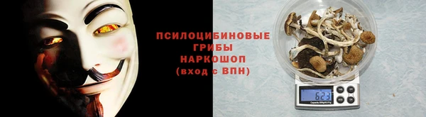 ECSTASY Пестово
